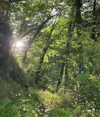 דירה La Rotonda *