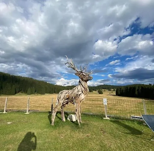 Apartament La Rotonda *