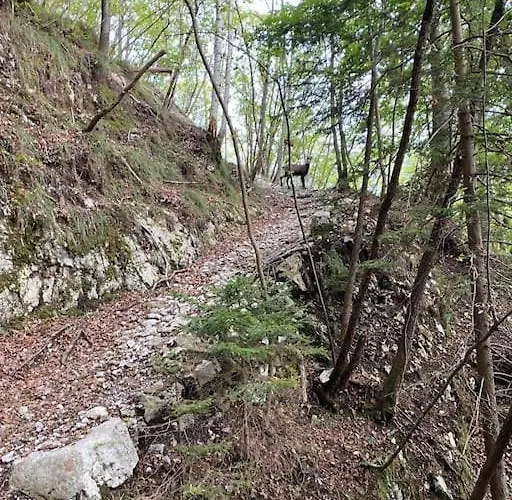 La Rotonda Apartament *