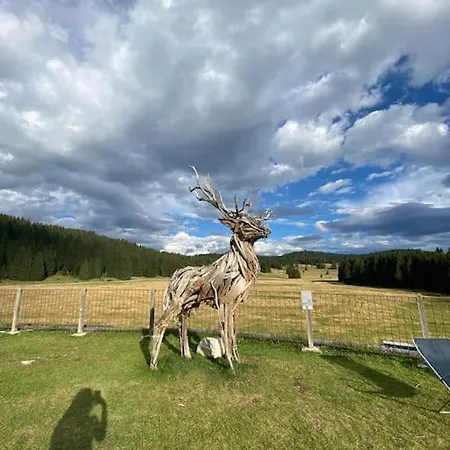 Appartamento La Rotonda *