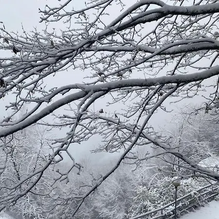 La Rotonda アパート Lastebasse