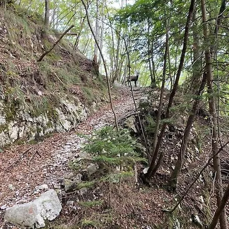 La Rotonda アパート *