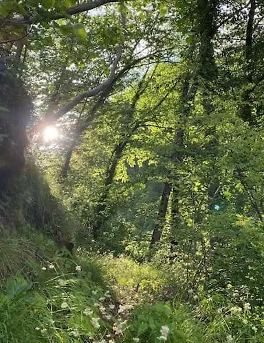 Apartment La Rotonda *