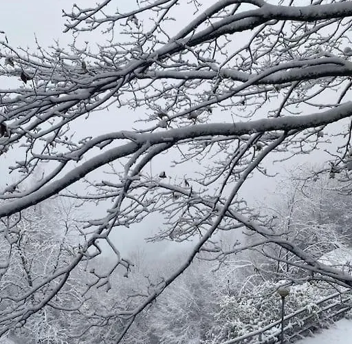 La Rotonda Appartamento Lastebasse